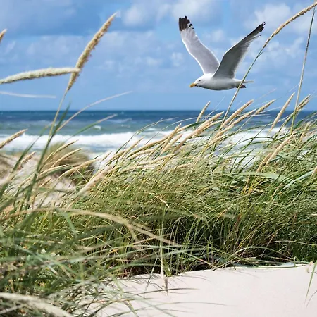 In With Sea View Apartment Knokke-Heist